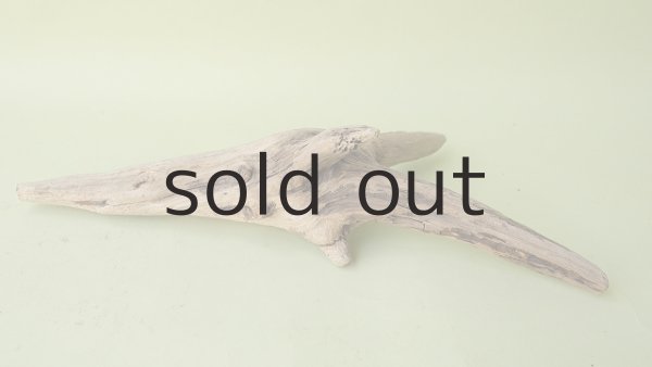 画像5: 変形流木 (5)