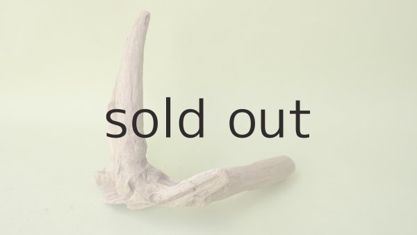 画像5: 変形流木 (5)