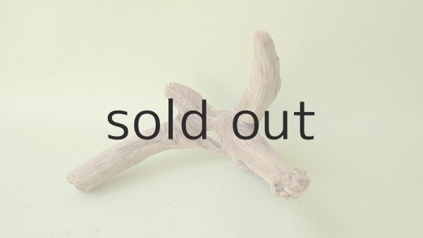 画像4: 変形流木 (4)