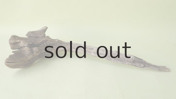 画像5: 変形流木 (5)