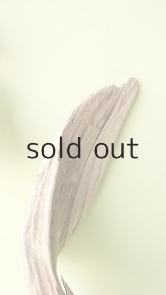 画像3: 変形流木 (3)