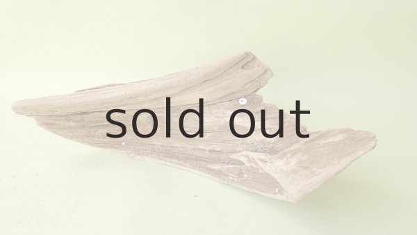 画像5: 変形流木 (5)