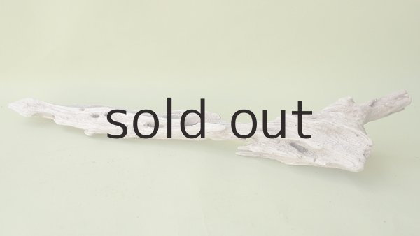 画像5: 変形流木 (5)