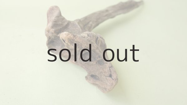 画像6: 変形流木 (6)