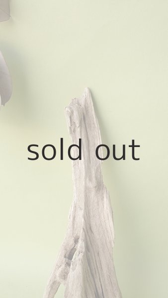 画像3: 変形流木 (3)