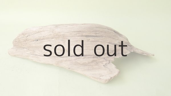 画像4: 変形流木 (4)