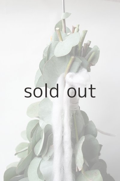 画像2: Dry plants for decor ユーカリ2種シンプルスワッグ (2)