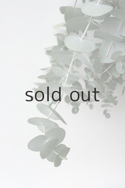 画像4: Dry plants for decor ユーカリ2種シンプルスワッグ (4)