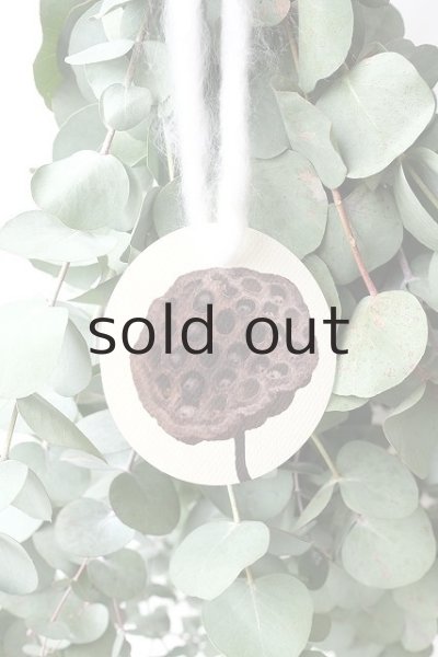 画像3: Dry plants for decor ユーカリ2種シンプルスワッグ (3)