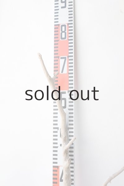 画像5: 枝流木 (5)