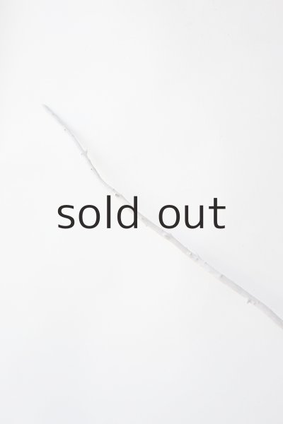 画像4: 枝流木 (4)