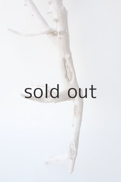 画像2: 枝流木 (2)