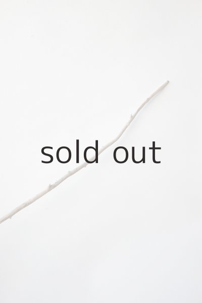 画像6: 枝流木 (6)