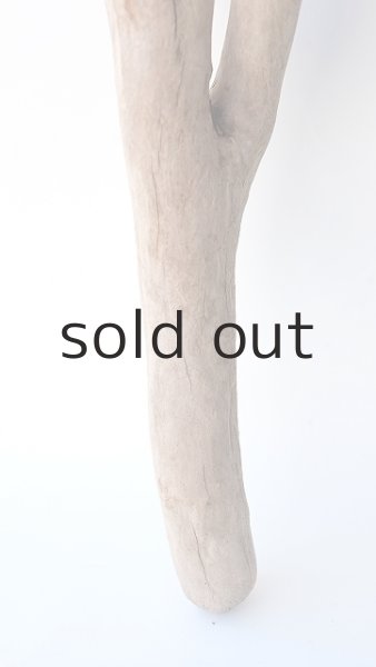 画像2: 枝流木 (2)