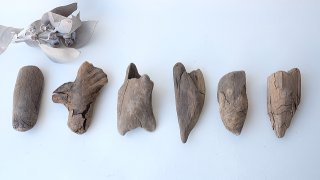 変形・その他流木 - 流木素材市場 阿波遊木