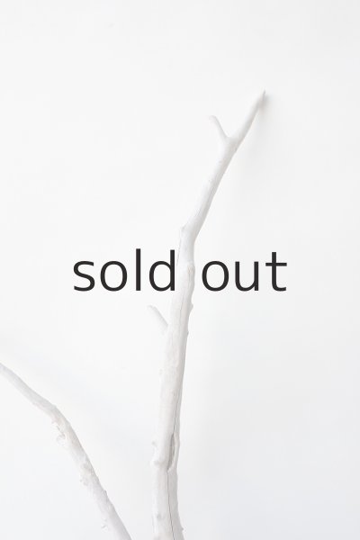 画像3: 枝流木 (3)