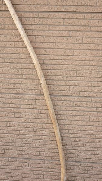 画像3: 棒流木・長尺 (3)