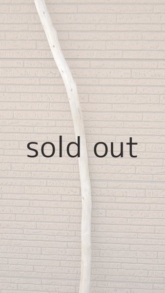 画像3: 棒流木・長尺 (3)