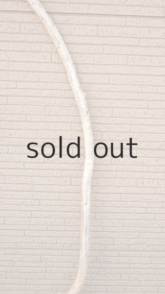 画像3: 棒流木・長尺 (3)