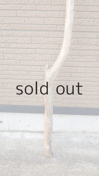 画像2: 棒流木・長尺 (2)