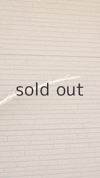 画像7: 棒流木・長尺 (7)