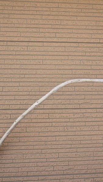 画像4: 棒流木・長尺 (4)