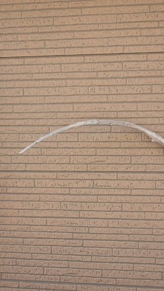 画像7: 棒流木・長尺 (7)