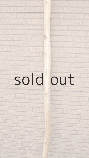 画像3: 棒流木 (3)