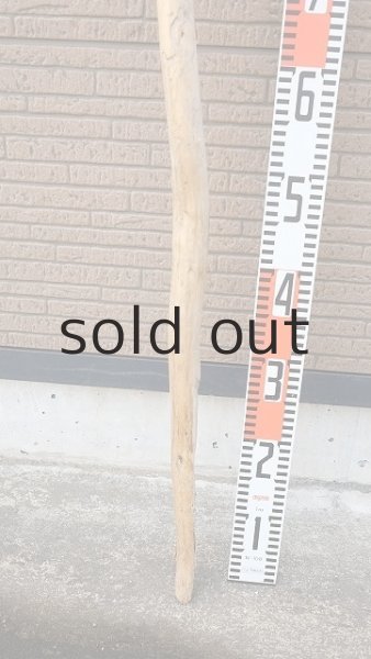 画像6: 棒流木・長尺 (6)