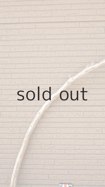 画像6: 棒流木・長尺 (6)