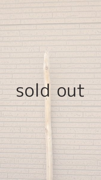 画像4: 棒流木 (4)