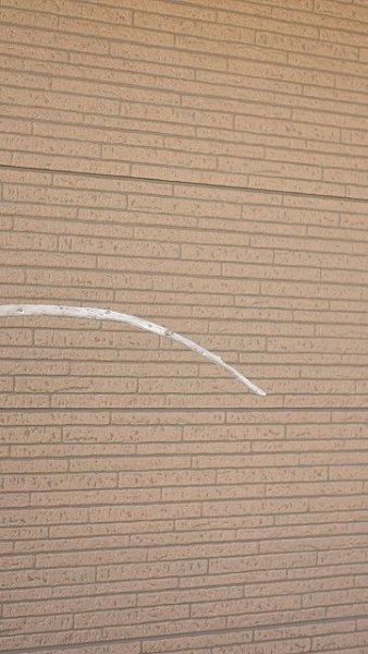 画像5: 棒流木・長尺 (5)