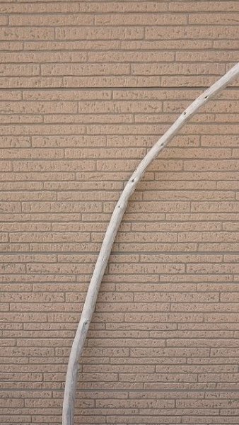 画像3: 棒流木・長尺 (3)