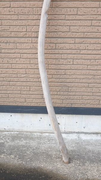 画像2: 棒流木・長尺 (2)