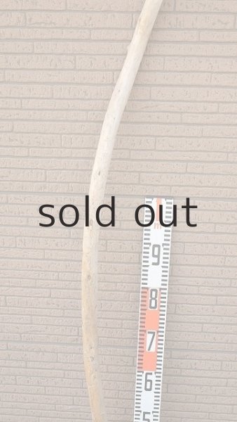 画像7: 棒流木・長尺 (7)