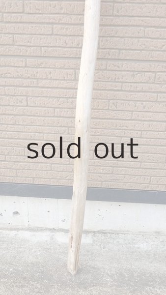 画像2: 棒流木・長尺 (2)