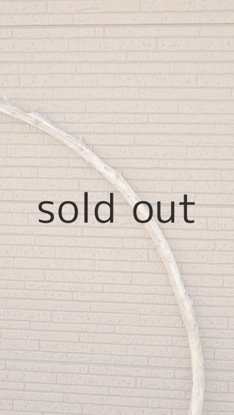 画像4: 棒流木・長尺 (4)