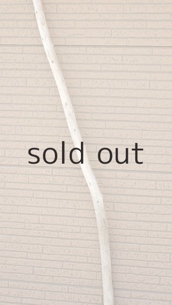 画像4: 棒流木・長尺 (4)