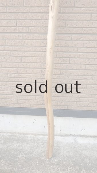 画像2: 棒流木 (2)