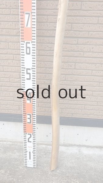 画像5: 棒流木 (5)