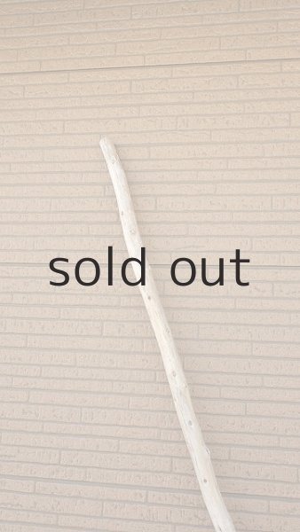 画像5: 棒流木・長尺 (5)