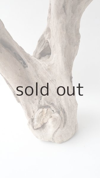 画像2: 変形流木 (2)