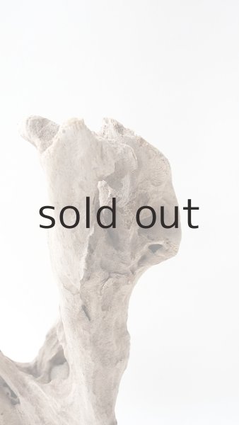 画像3: 変形流木 (3)