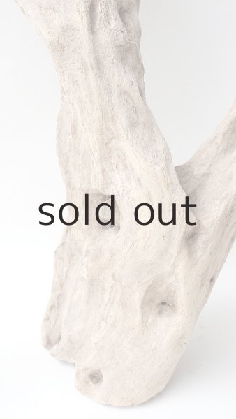 画像5: 変形流木 (5)