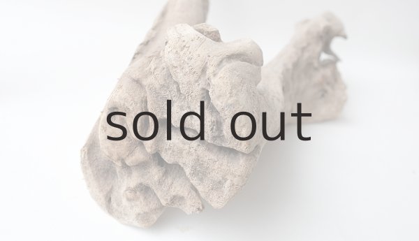 画像6: 変形流木 (6)