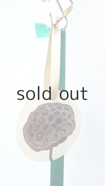 画像2: Dry plants for decor ユーカリクリスマスハングアレンジ (2)