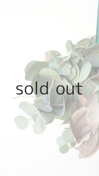 画像3: Dry plants for decor ユーカリクリスマスハングアレンジ (3)