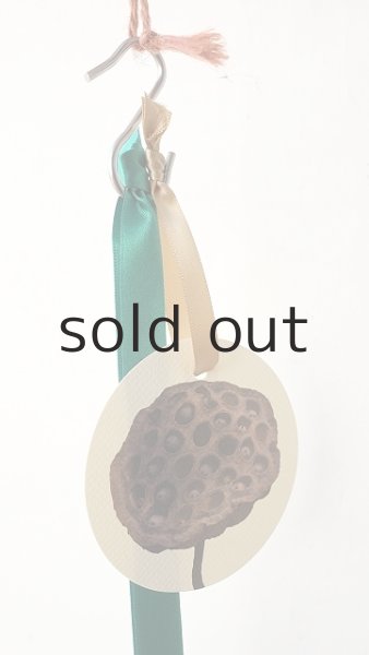 画像2: Dry plants for decor ユーカリクリスマスハングアレンジ (2)