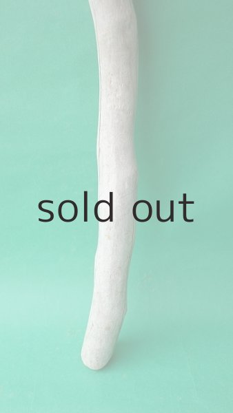 画像2: 枝流木 (2)