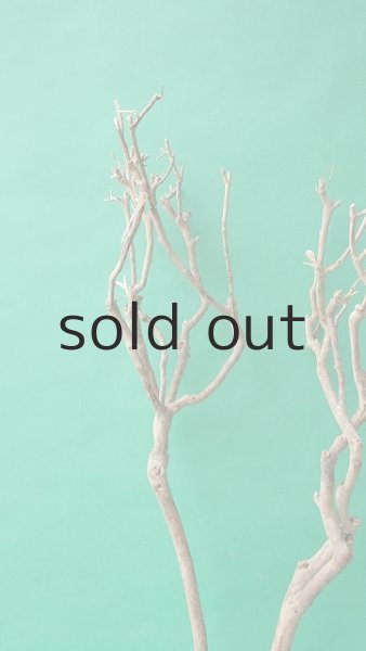 画像4: 枝流木 (4)